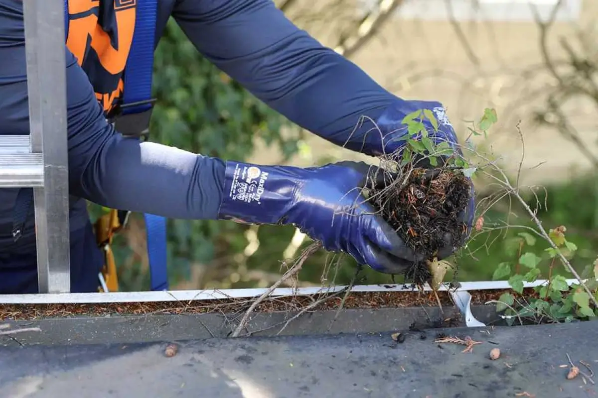 Gutter Cleaning in Antioch, TN