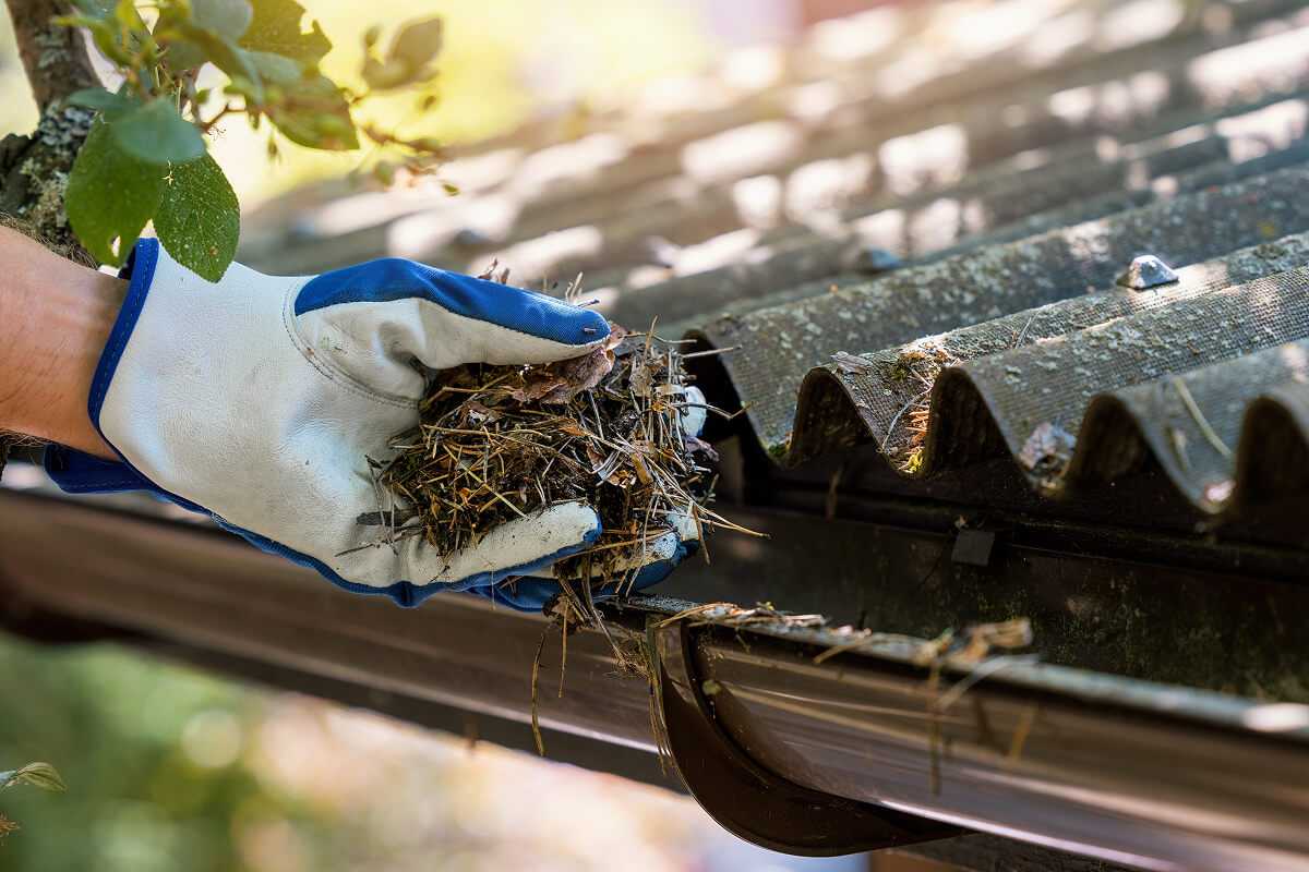 Gutter Cleaning in Forest Hills, TN