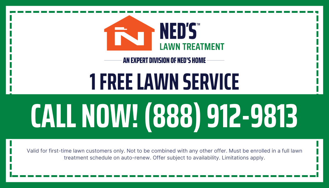 Lawn Treatment Free Service Coupon