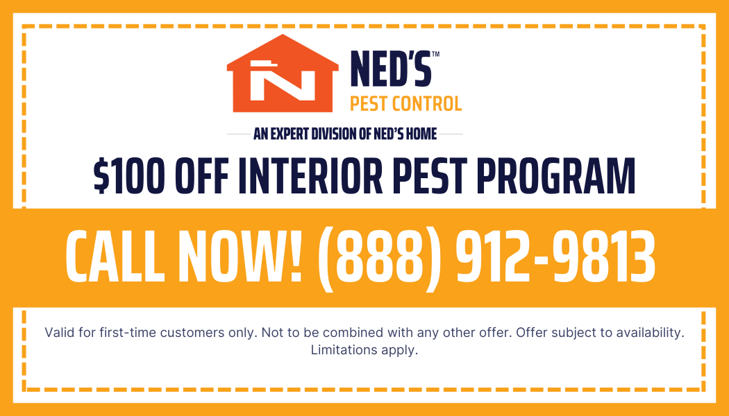 Interior Pest Coupon