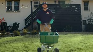 Man seeds lawn