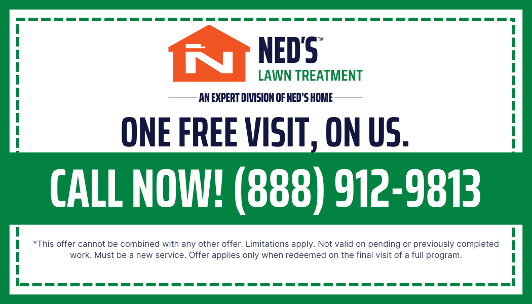 Ned's Lawn Coupon