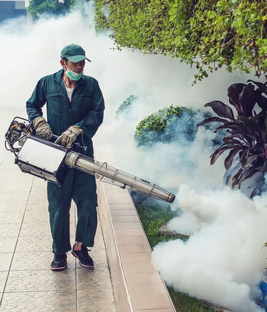 Pest Control New York