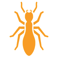 Termite Control