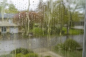 Window with pollen residue and streaks after rain