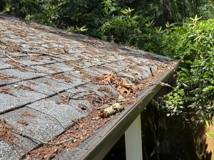 Residential roof and gutter guard covered with leaves, twigs, and debris.
