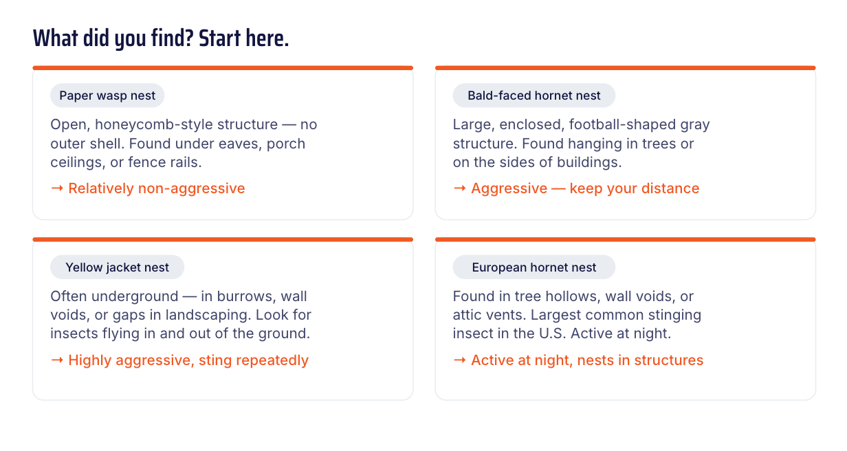 Comparison chart of paper west, yellow jacket, bald-faced hornet, and european hornet nests