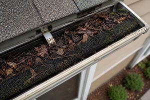 Top-down view of a residential gutter containing a foam gutter guard covered with decomposing leaves, pine needles, organic debris, and moss growth inside the gutter channel.