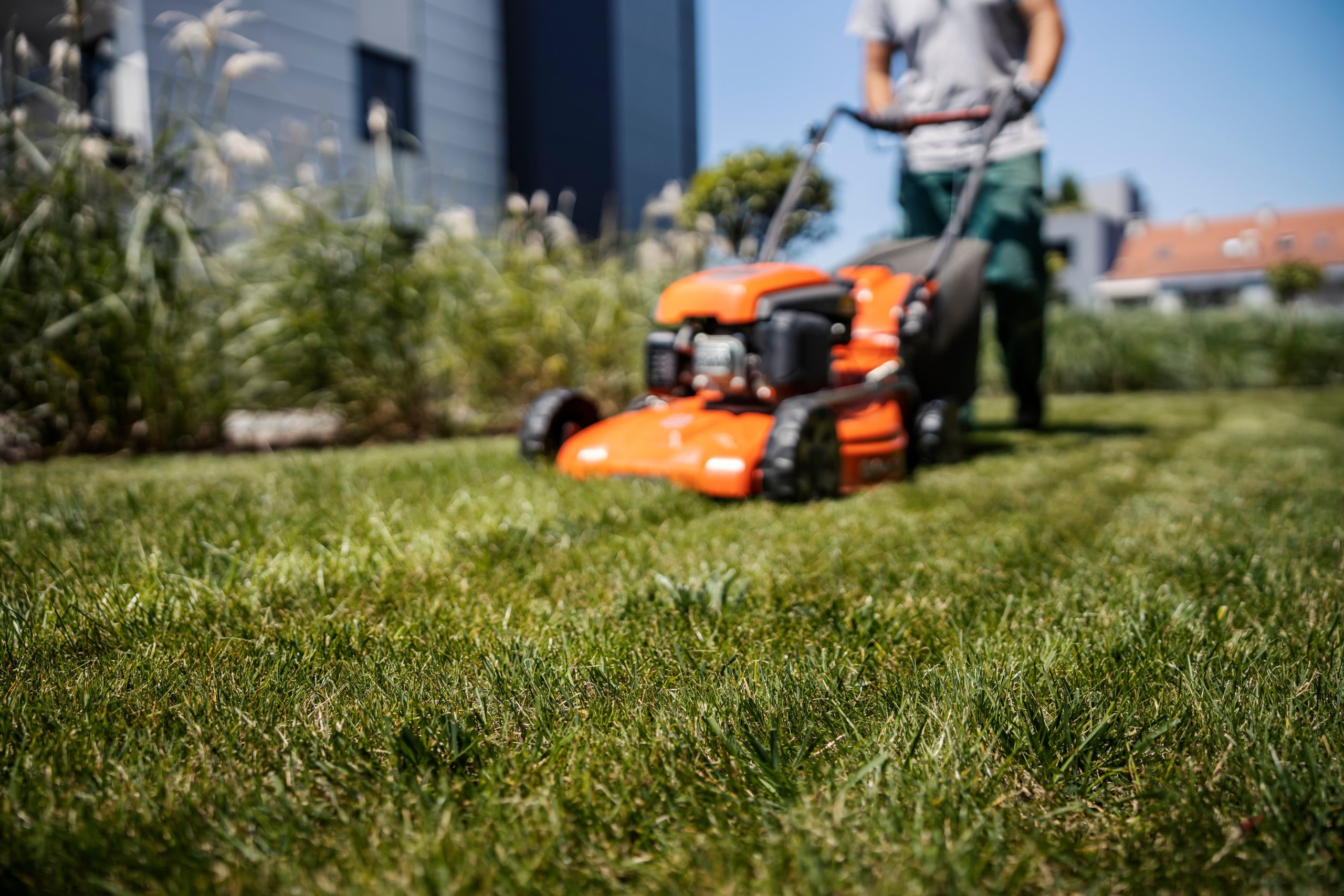 Person mowing a green lawn with a push mower on a sunny summer day