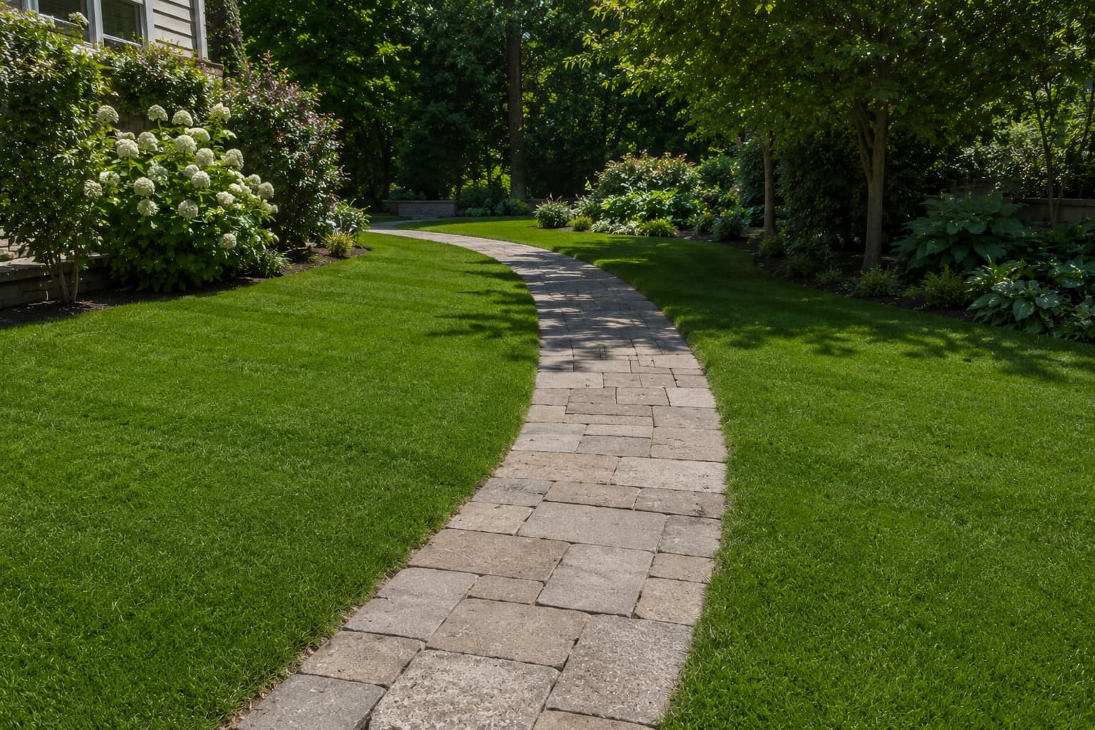 Stone paver walkway cutting through a lush green residential lawn in summer