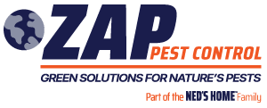 ZAP Pest Control