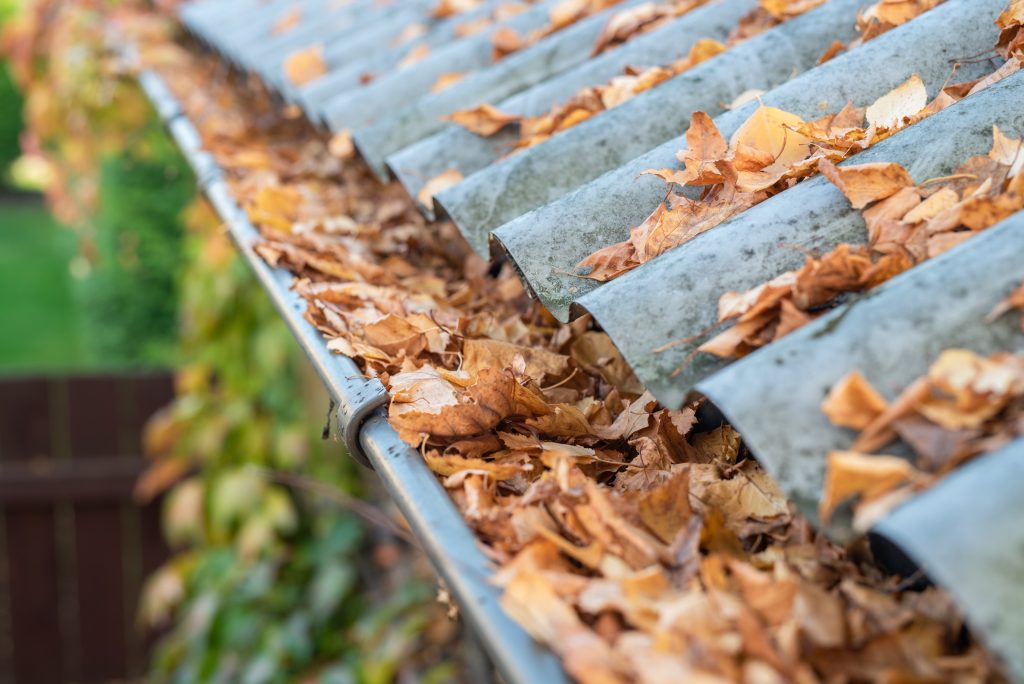 Fall leaves collecting in a home's gutters