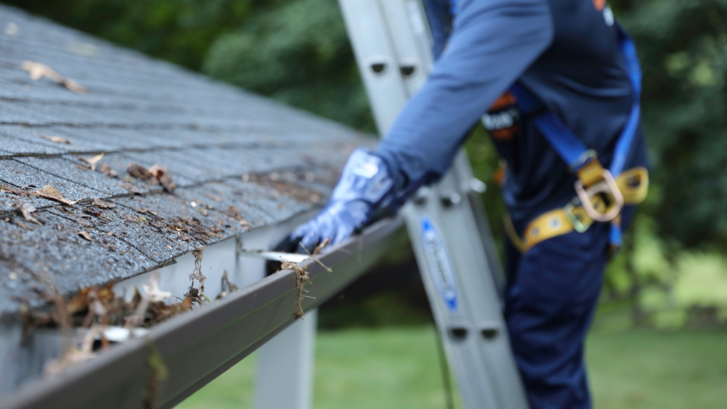 Ned Stevens Gutter Cleaning technician removing leaves and debris from a home's gutters.